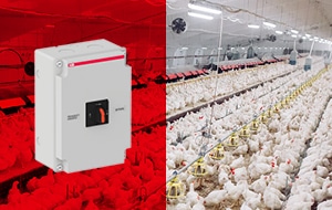 Nieuwsbericht: Voorkom downtime in de veehouderij met de bypass-schakelaar van ABB