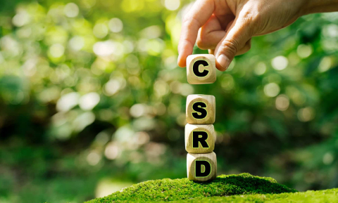 Nieuwsbericht: Wat betekent de CSRD voor jou als ondernemer?