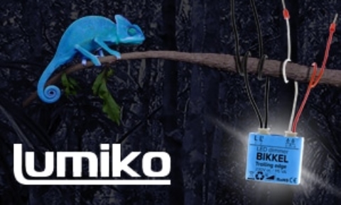 Nieuwsbericht: De kameleon van Lumiko