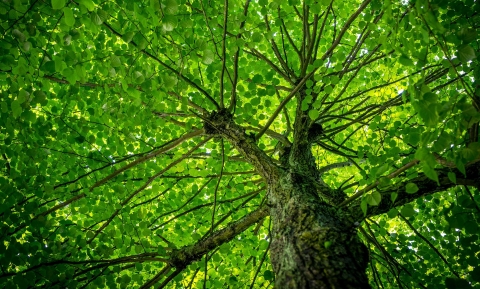 Nieuwsbericht: CO2-reductie: dezelfde richting, nieuwe doelen