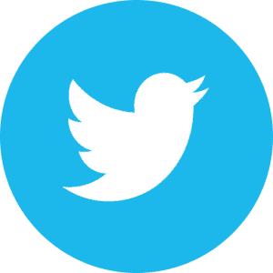 twitter icoon