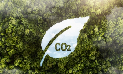 Nieuwsbericht: Rapportage CO₂-uitstoot 2025